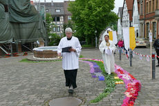 Bluemteppich auf dem Naumburegr Marktplatz (Foto: Karl-Franz Thiede)